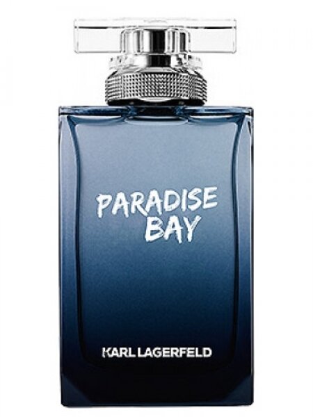 Karl Lagerfeld Paradise Bay EDT 100 ml Erkek Parfümü kullananlar yorumlar
